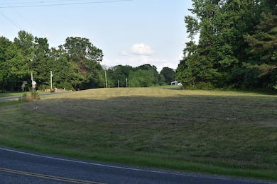 000 Old Samburg Rd, Hornbeak, TN 38232 - photo 7