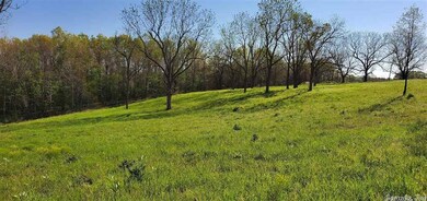 42 acres Wolf Springs Rd N, Harrison, AR 72601 - photo 5