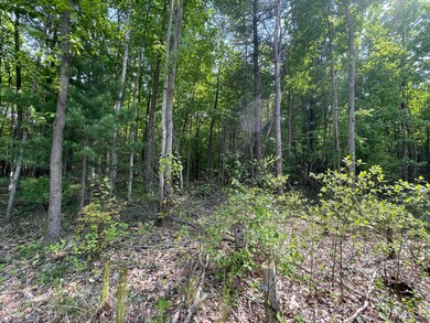 Wooded Area from 2nd Street Access