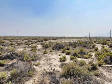 3135 Muddy Rd, Winnemucca, NV 89445 - photo 7
