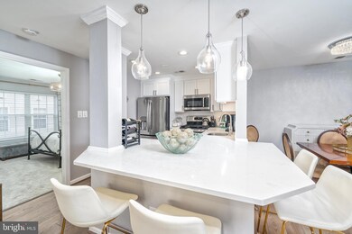 9050 Gracious End Ct unit 201, Columbia, MD 21046 - photo 6