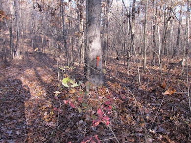 3605 Madison, Red Star, AR 72752 - photo 3