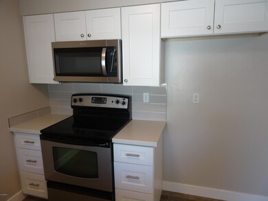 10888 W Santa fe Dr unit 69, Sun City, AZ 85351 - photo 3