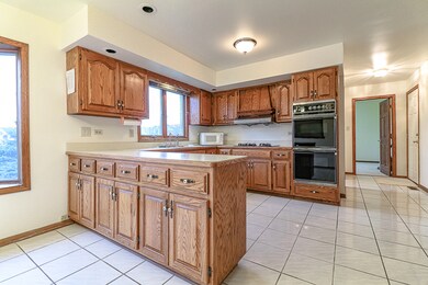 3216 Mallard Dr, Homewood, IL 60430 - photo 5