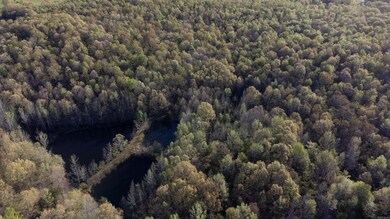 000 Carmickle Rd, Maynard, AR 72444 - photo 7