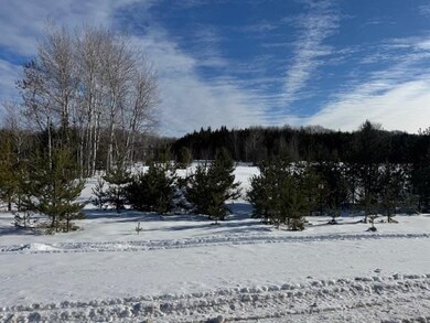 TBD S Us 131, Boyne Falls, MI 49713 - photo 5