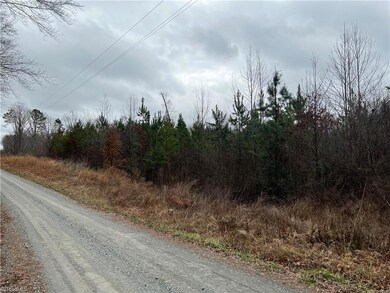 000 Borough Ave, Seagrove, NC 27341 - photo 2