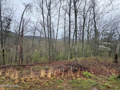 0 Overhill Way, Sevierville, TN 37876 - photo 4