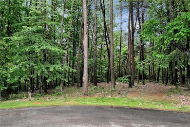 View of tree filled area
