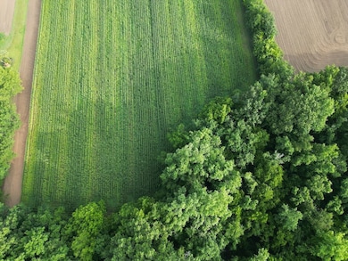 0 Cypress Campground Rd unit LotWP001, Ridgeville, SC 29472 - photo 6