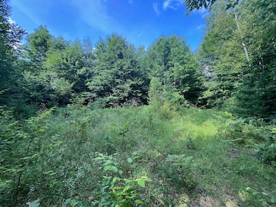 121 Fern Rd, Dover-Foxcroft, ME 04426 - photo 4