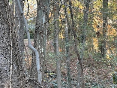 View of local wilderness