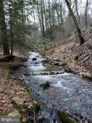 39 Bear Creek, New Ringgold, PA 17960 - photo 5