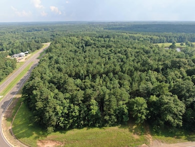 19860 Mississippi 21, Philadelphia, MS 39350 - photo 2