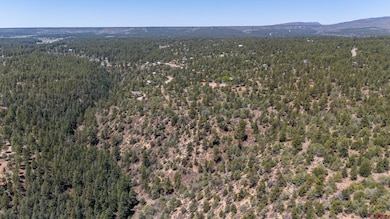 275 Logging Trail Rd, Durango, CO 81303 - photo 4