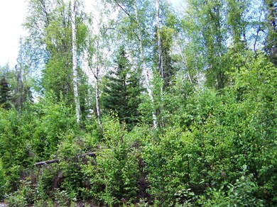 Side by side lake lots