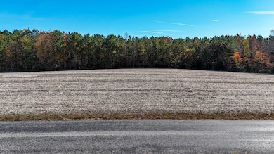 5663 Longview Dr, Kenbridge, VA 23944 - photo 5