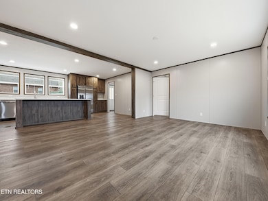 729 Siluria St, Harriman, TN 37748 - photo 6