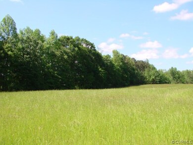 40.29 acres S Crater Rd, North Dinwiddie, VA 23805 - photo 5