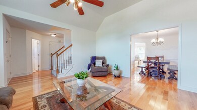 317 Castlemere Ct, Murfreesboro, TN 37130 - photo 7