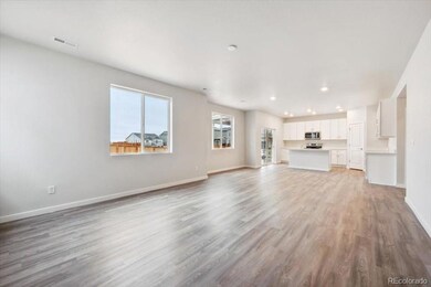 1382 Farmstead St, Brighton, CO 80601 - photo 6