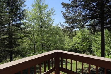 94 Birch Ln, Ludlow, VT 05149 - photo 5