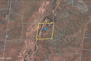 9655 Rose Trail, Snowflake, AZ 85937 - photo 4