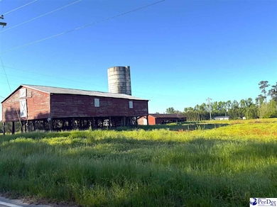 Red Barn Tract State Road S-21-881, Scranton, SC 29591 - photo 4