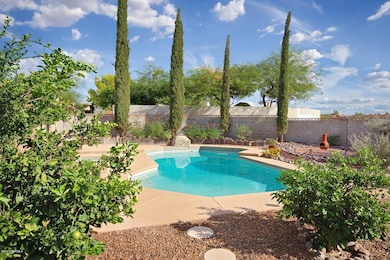 Back Yard Paradise
