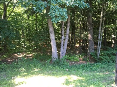 private , wooded back yard