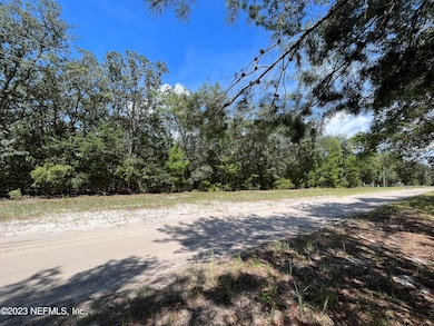 127 Indian Trail, Florahome, FL 32140 - photo 2