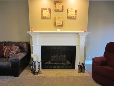 Pretty gas Fireplace.