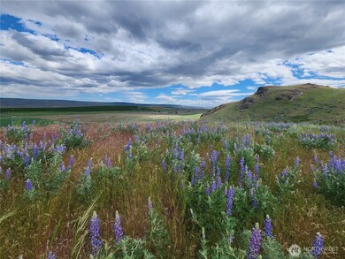 0 Old Highway 97 unit NWM2384392, Brewster, WA 98812 - photo 6