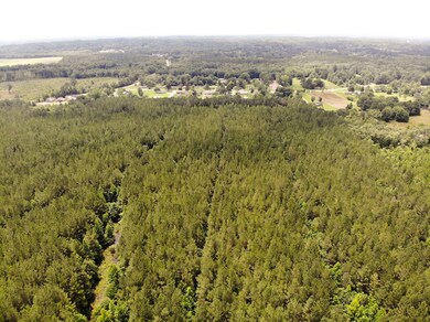 DJI_0646 (2)