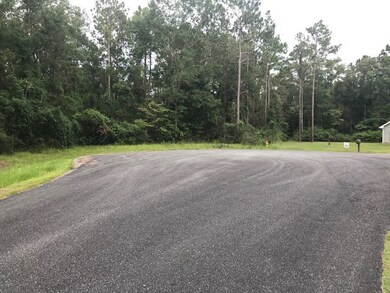 0 Hog Hedge unit 308876, Crawfordville, FL 32327 - photo 6