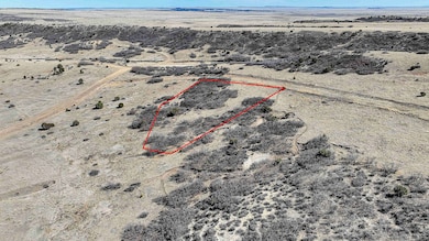 Bernard Ave, Rye, CO 81069 - photo 2