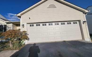 3230 saint bernard_(11)