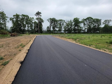 LOT 7 Retriever Rd, Crosslake, MN 56442 - photo 2