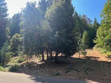 0 Barlow St, Cave Junction, OR 97523 - photo 7