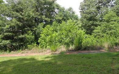 Additional View