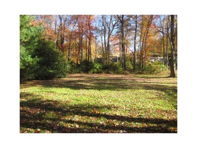 Yard/Garden.