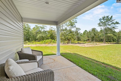 139 Calm Citadel Dr, Pelion, SC 29123 - photo 4