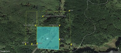 0 X Elk Creek Rd, Raymond, WA 98577 - photo 2