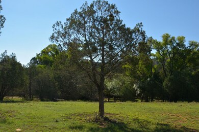 Mature Trees