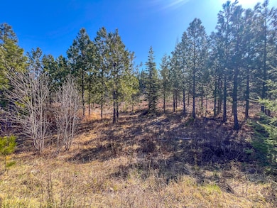 26xx Flowery Trail Rd, Chewelah, WA - photo 3