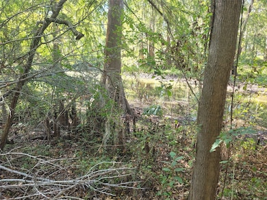 0 Lakeside Dr, Cleveland, TX 77327 - photo 7