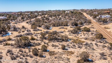 XYZ Jack Rabbit Jct, Farmington, NM 87402 - photo 3