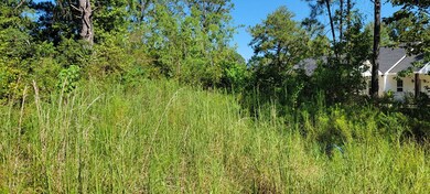 2622 Jackson Landing Rd, Picayune, MS 39466 - photo 2