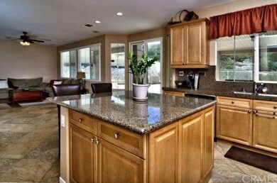 Open Concept Kitchen and Family Room
