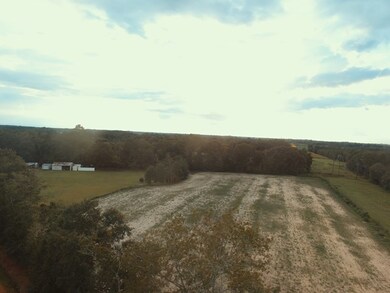 00 Earl Day Rd unit n/a, Ambrose, GA 31512 - photo 2